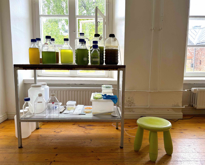 02 Algae cultivation in my HIAP studio 