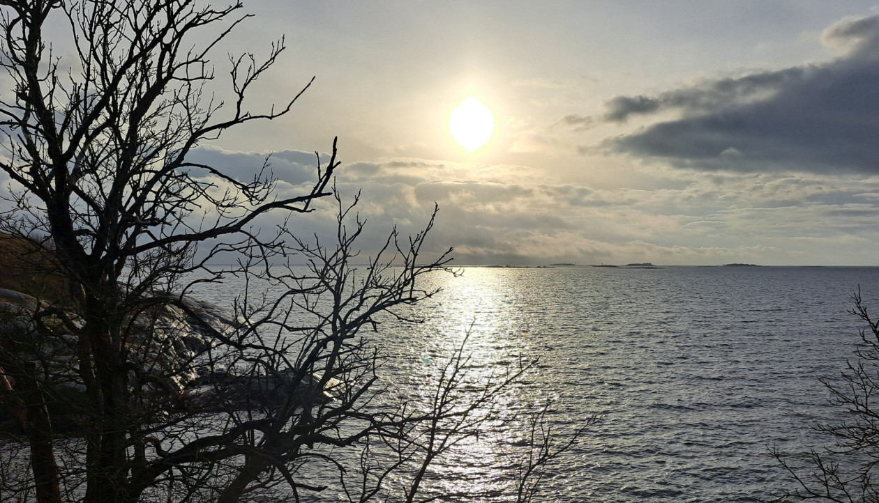 20251103 141947 resized