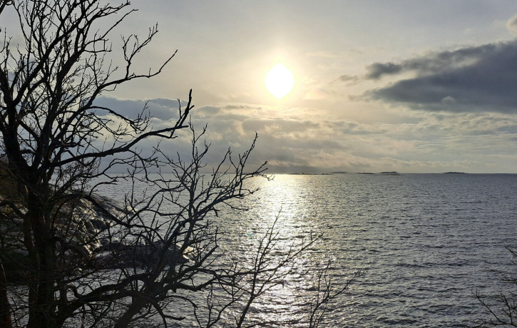 20251103 141947 resized