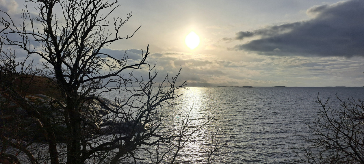 20251103 141947 resized